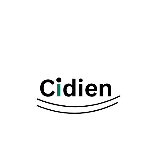 Cidien Logo